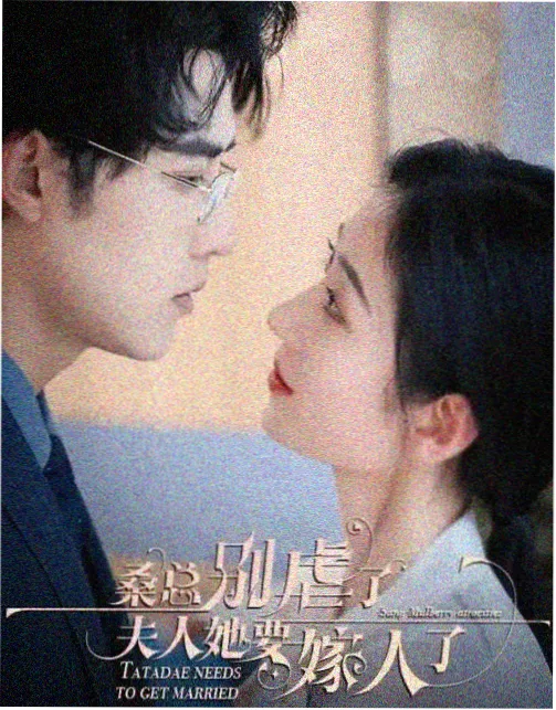 雍正王朝 - 给我免费播放片高清在线观看电视剧